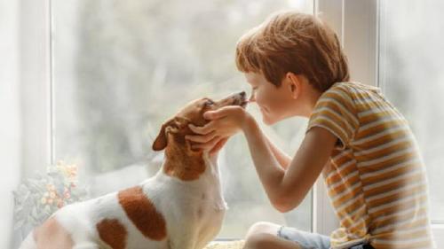 perro niños perro niños