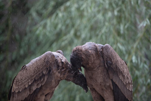 CRÉDITO DE FOTO_ GONZALO PRADOS 10 CRÉDITO DE FOTO_ GONZALO PRADOS 10