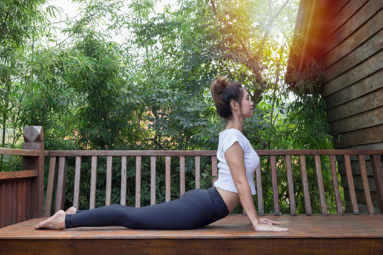 shutterstock_517467502 shutterstock_517467502.jpg