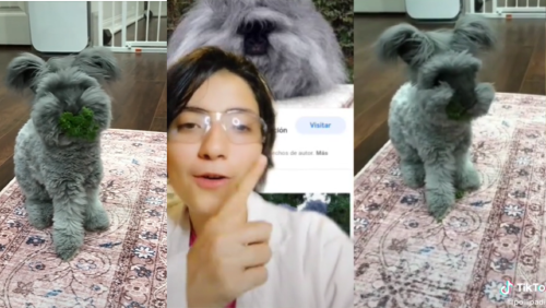 _portada bioguia (29) _portada bioguia (29)