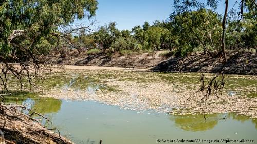 65045309_303 65045309_303