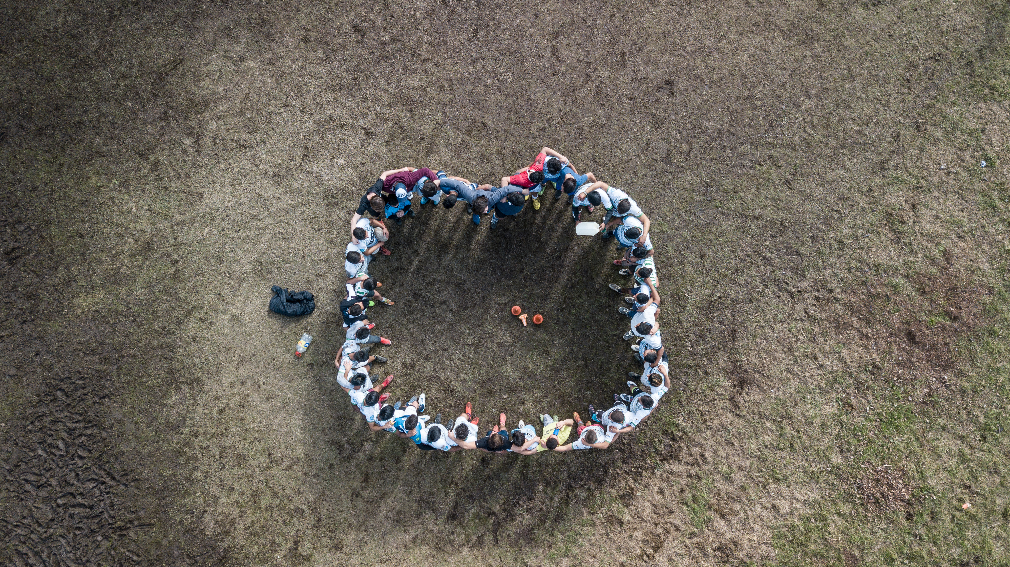 El_Bosque-1 El_Bosque-1.jpg