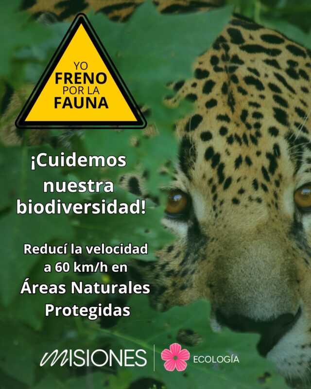 Yo freno por la fauna”, una campaña integral para cuidar a los animales silvestres