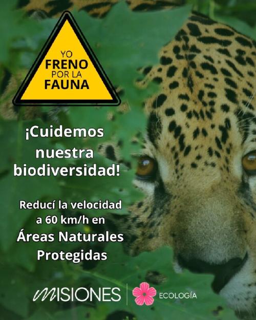 Campaña Yo freno por la fauna”, una campaña integral para cuidar a los animales silvestres
