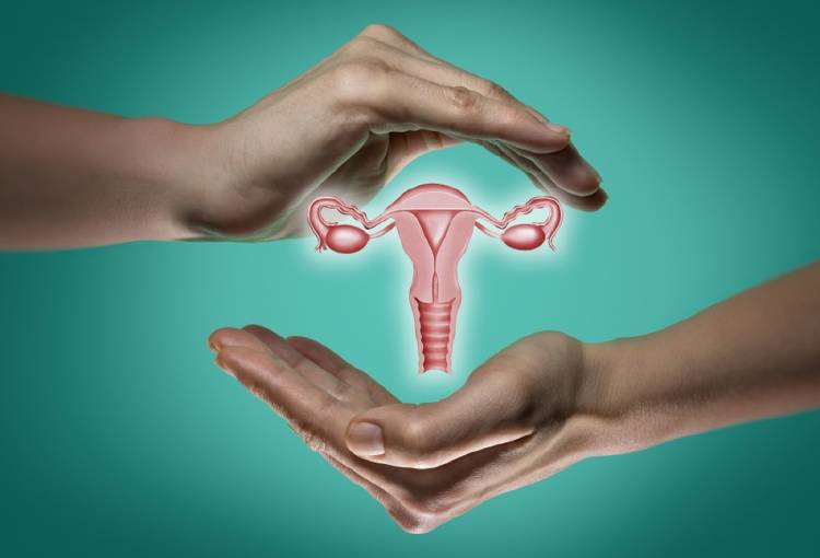 Todo lo que deberías saber sobre la ovulación y el ciclo menstrual