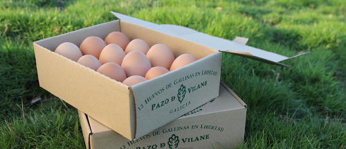 huevos web huevos web