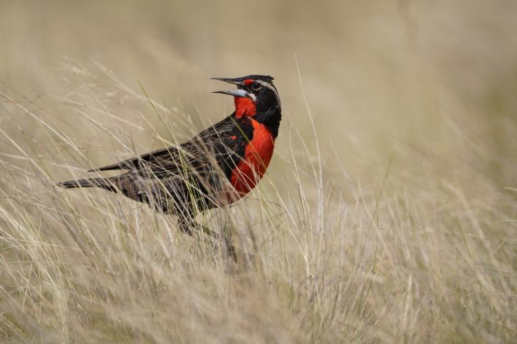 273647769_10159018858882284_198384061944639136_n 273647769_10159018858882284_198384061944639136_n