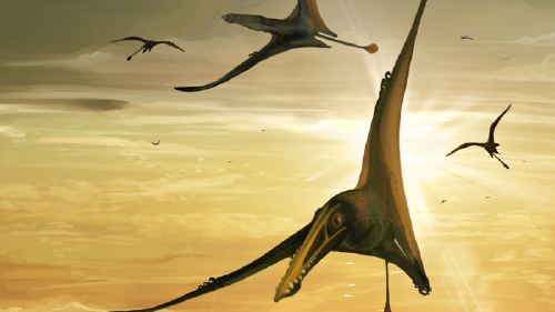 Los pterosaurios eran reptiles voladores del extinto clado u orden Pterosauria. (Imagen de referencia)