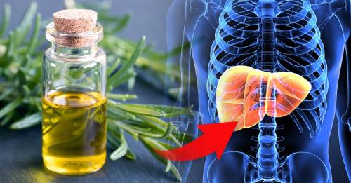 Descubre cómo utilizar el romero para mejorar la salud