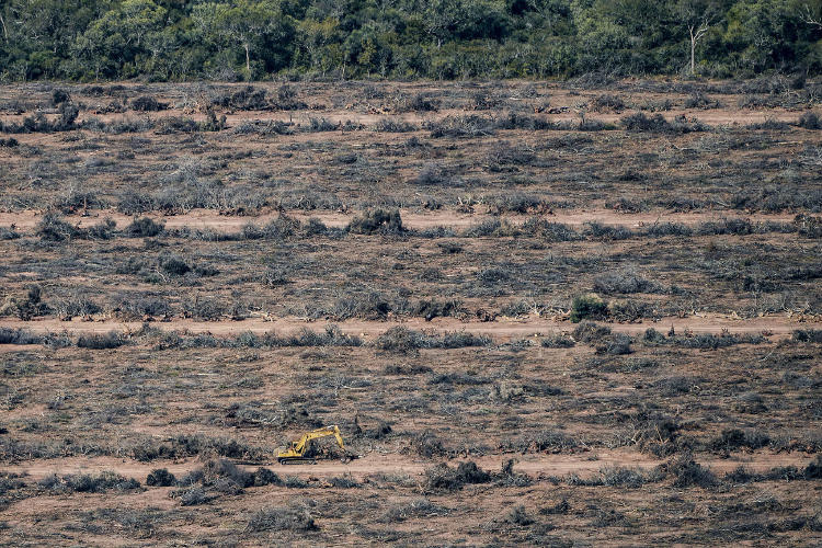 8c5b2d64 a7r04154 2048x1366 8c5b2d64 a7r04154 2048x1366