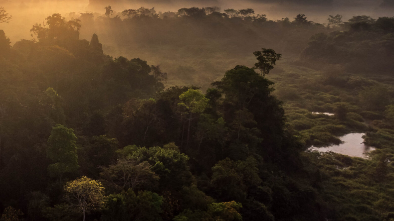 Screenshot 2023 03 28 at 09 31 41 Colombia científicos pescadores y campesinos se unen para salvar el bosque húmedo en el Magdalena Medio Screenshot 2023 03 28 at 09 31 41 Colombia científicos pescadores y campesinos se unen para salvar el bosque húmedo en el Magdalena Medio