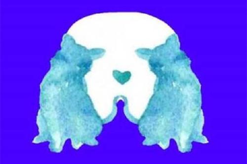 imagen test imagen test