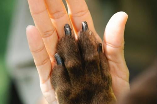 manos Imagen: Pinterest