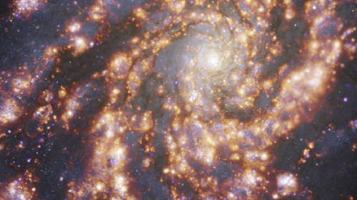 58294388_1004 58294388_1004