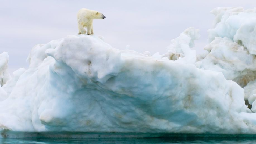 65855097_1004 65855097_1004