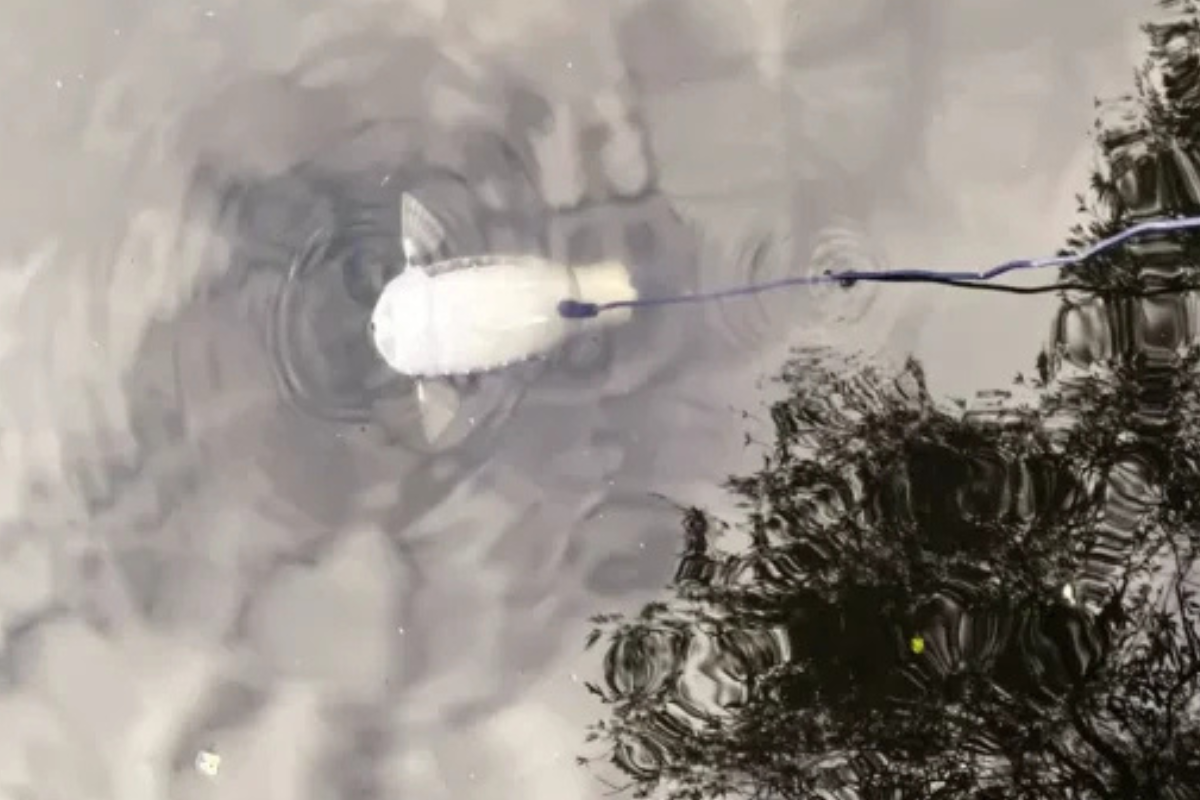 El Robot Gillbert «succionando» microplásticos en una masa de agua. FOTO: Universidad de Surrey (Imagen: ambienteplastico.com)