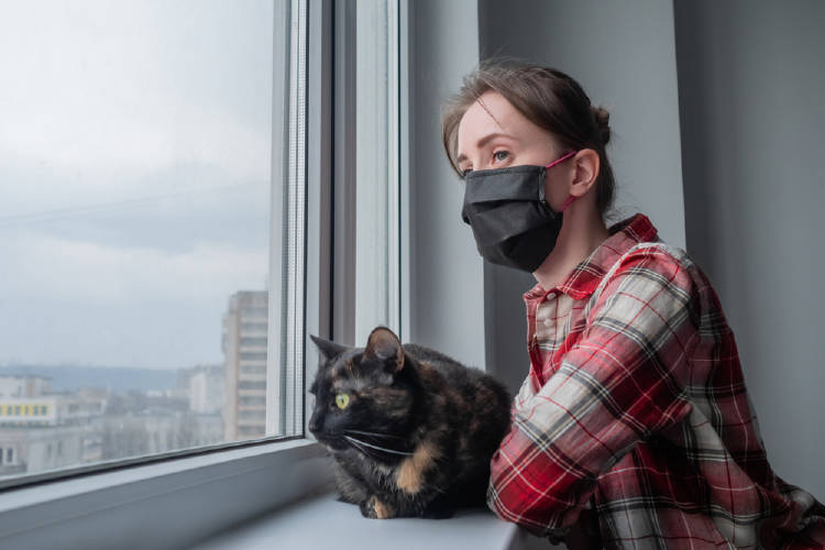 mujer ventana gato barbijo mujer ventana gato barbijo