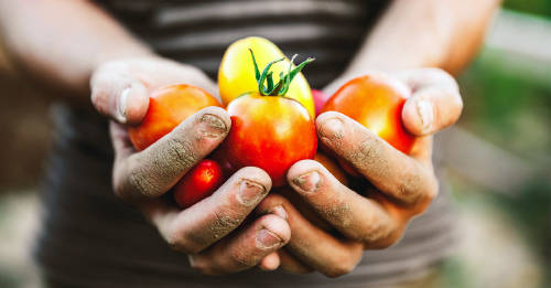 Comercio justo y consumo responsable: dos de los grandes pilares de Bioferia