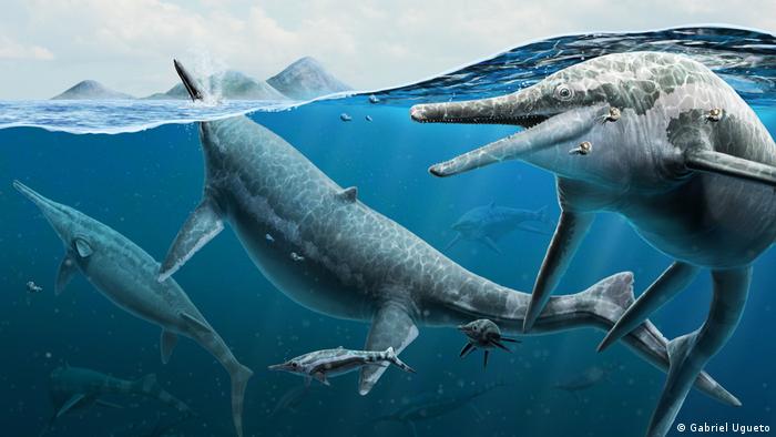 64249695_303 64249695_303