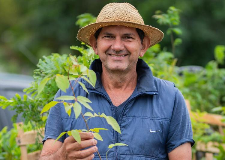 Bosques de Paraguay reforestación Bosques de Paraguay reforestación