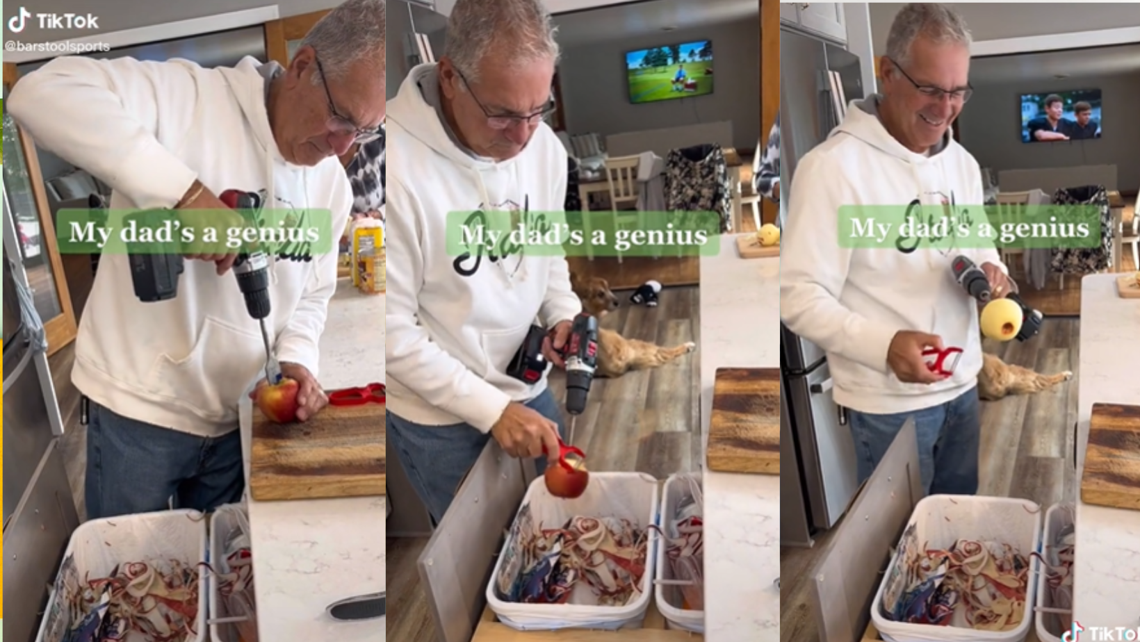 _portada bioguia (58) _portada bioguia (58)