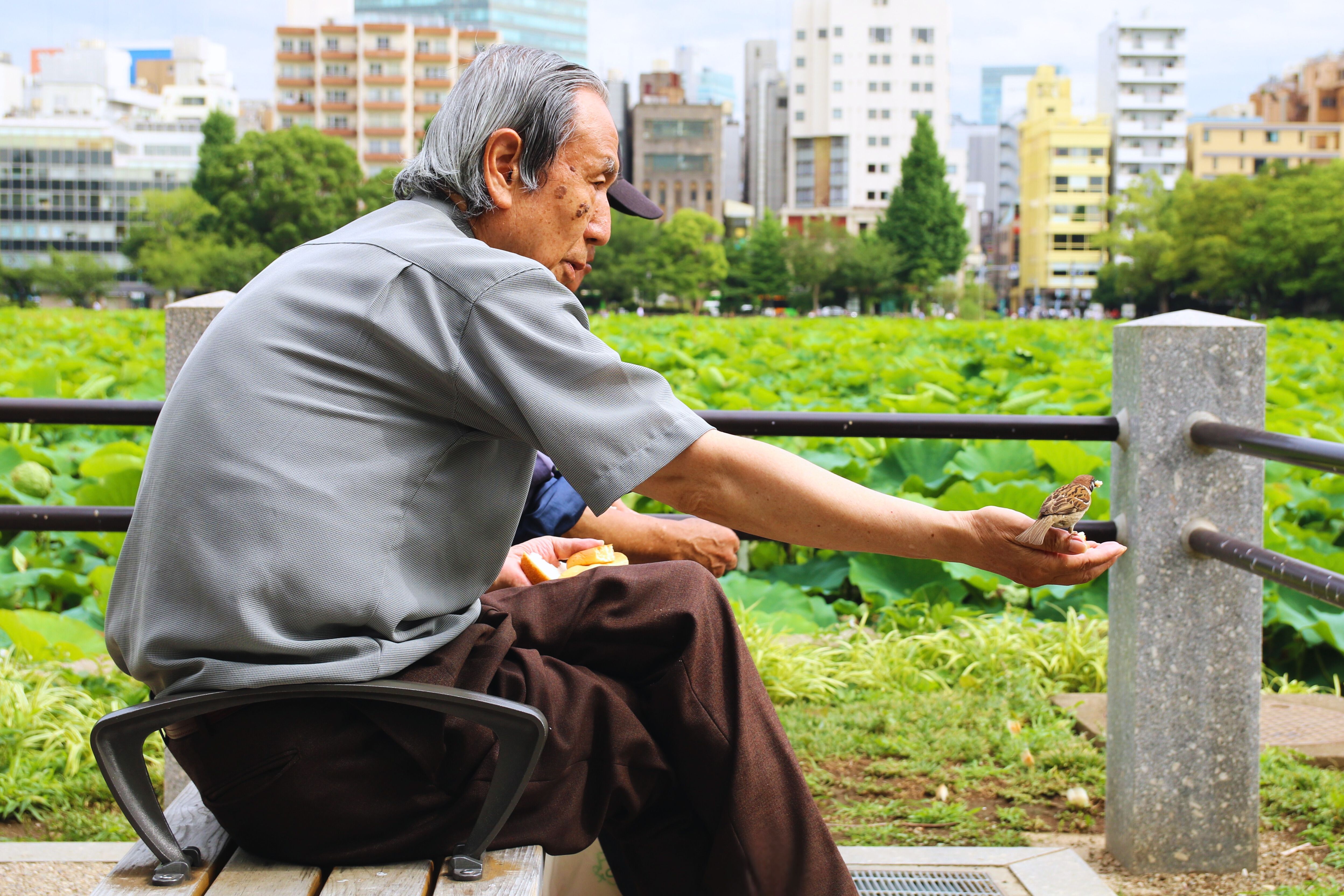 Longevidad en Japón / Pexels