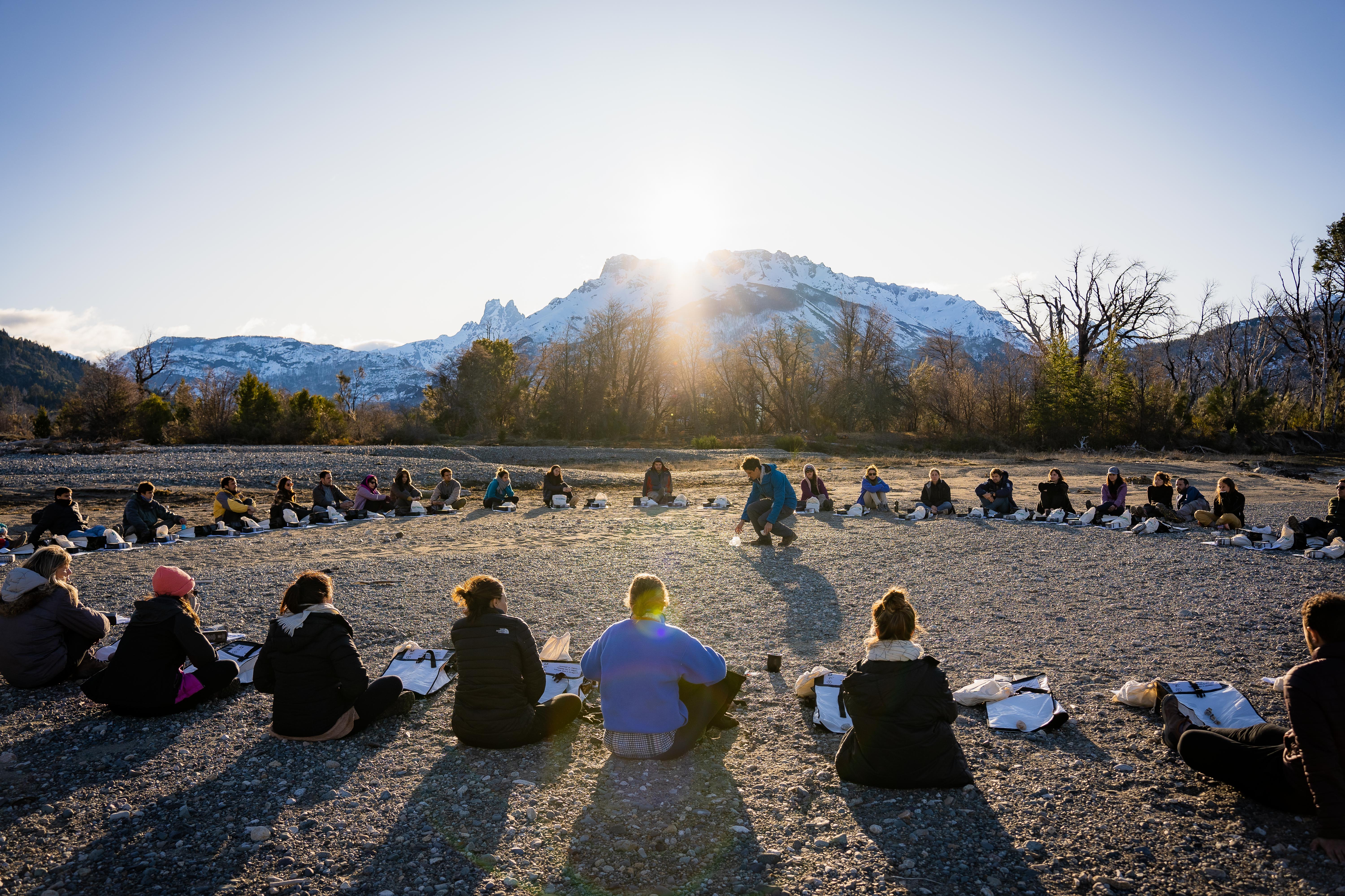 Reforestar bosques reforestar bosques