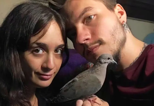 lu y adndre palomas buenos aires lu y adndre palomas buenos aires