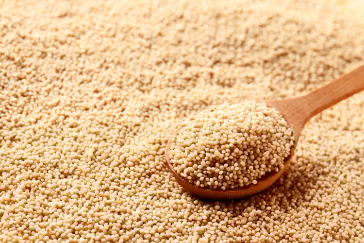 comidas saludables y ricas comidas saludables y ricas