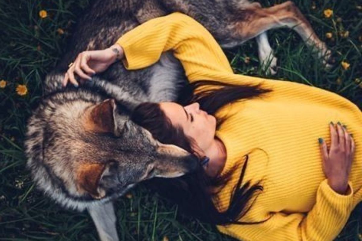 Dia Mundial del Animal (Imagen: Pinterest)