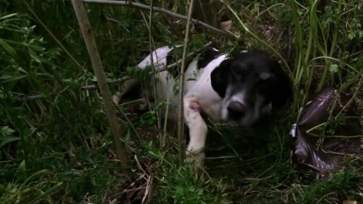 Captura de pantalla 2023 04 24 a las 14.00.13 Captura de pantalla 2023 04 24 a las 14.00.13