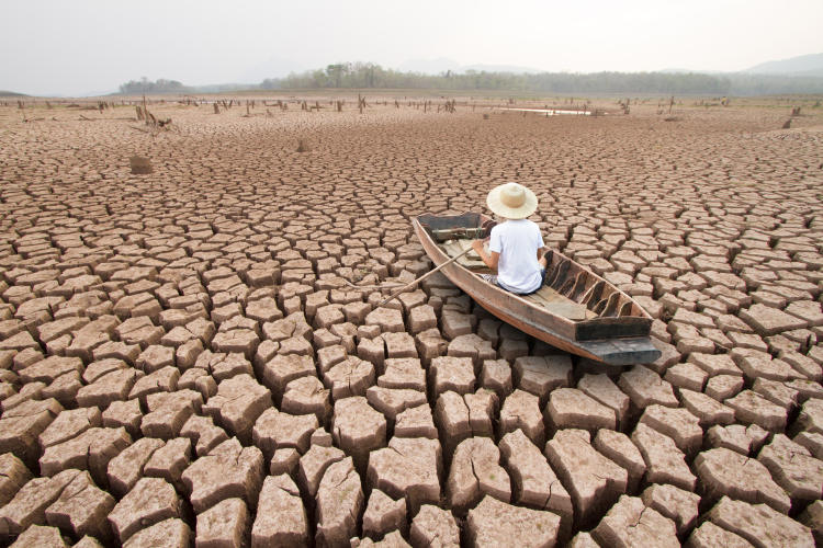 cambio climatico