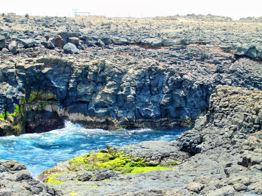 shutterstock_1079631548 shutterstock_1079631548.jpg