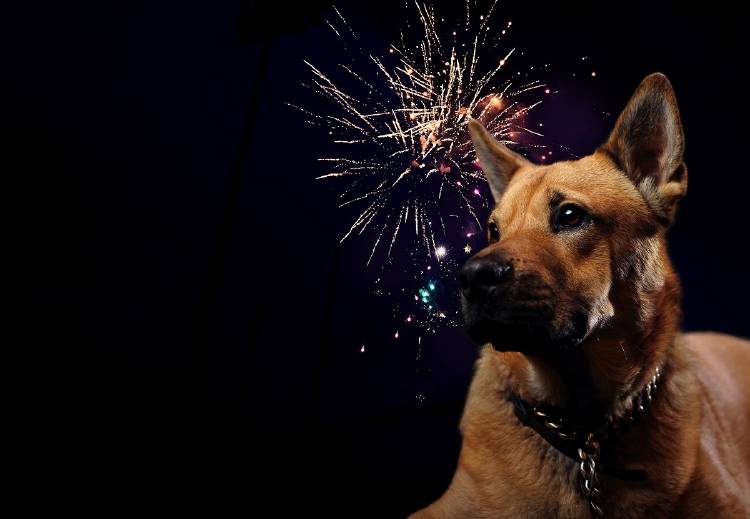 Pirotecnia Pirotecnia