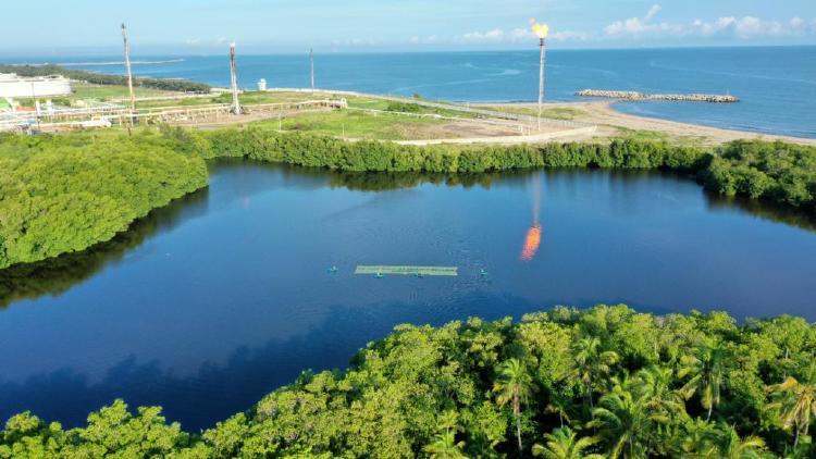 WhatsApp Image 2022-07-01 at 8.39.33 PM (3) WhatsApp Image 2022-07-01 at 8.39.33 PM (3)