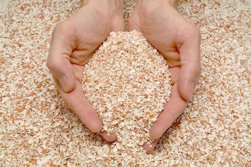 Cáscara de huevo Cáscara de huevo