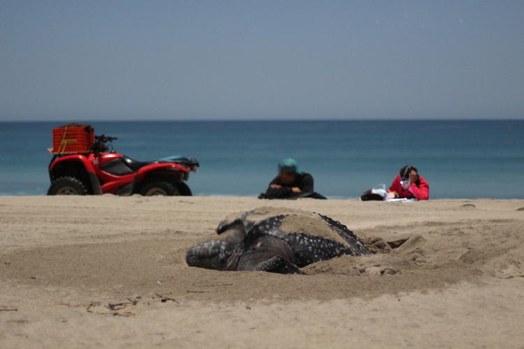 FOTO_3_Carlos Salas 1536x1024 FOTO_3_Carlos Salas 1536x1024