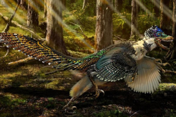 dinosaurio con plumas El estudio fue publicado en Nature Communications en mayo de 2024, y ya está generando revuelo en la comunidad científica. (Imagen: www.lavanguardia.com)