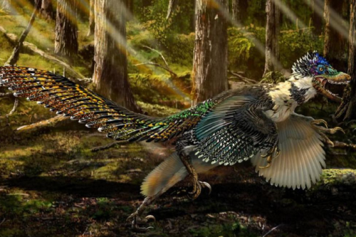 dinosaurio con plumas El estudio fue publicado en Nature Communications en mayo de 2024, y ya está generando revuelo en la comunidad científica. (Imagen: www.lavanguardia.com)