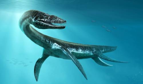 plesiosaurio