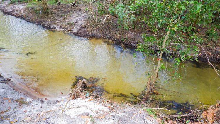 Depositphotos 744661900 XL (1) Depositphotos 744661900 XL (1)