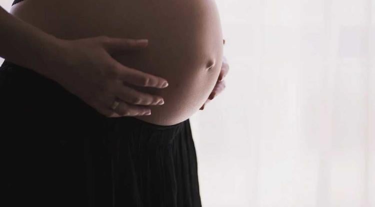 beneficios y usos de la placenta beneficios y usos de la placenta