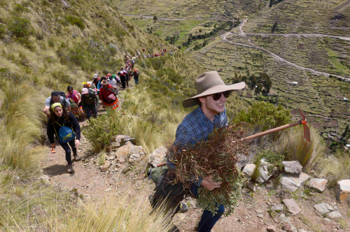 Comunidades los Andes plantaciones