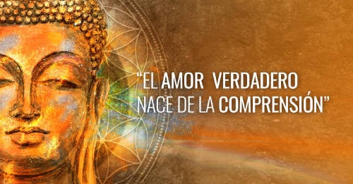 frases budistas frases budistas