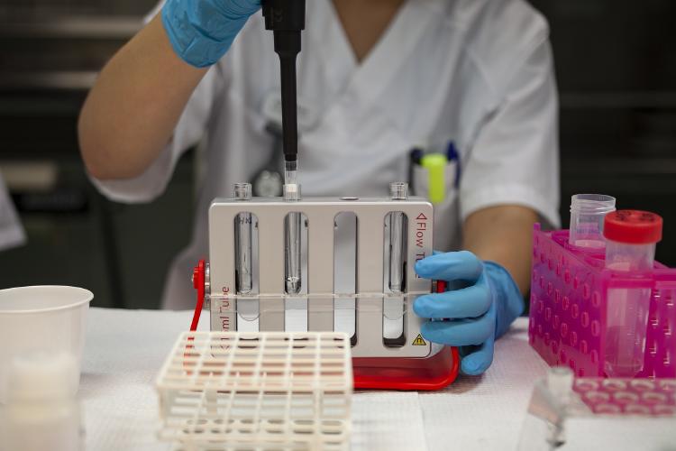 pruebas de coronavirus ¿Hisopar al celular podría reemplazar la prueba en las fosas nasales?