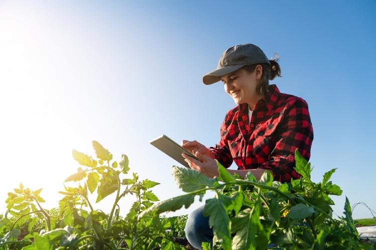 Agricultura de subsistencia