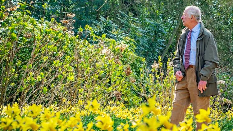 rey carlos iii del reino unido_d118597e_1280x720 rey carlos iii del reino unido_d118597e_1280x720