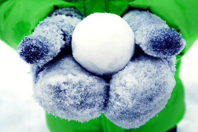 shutterstock_1826577722 shutterstock_1826577722