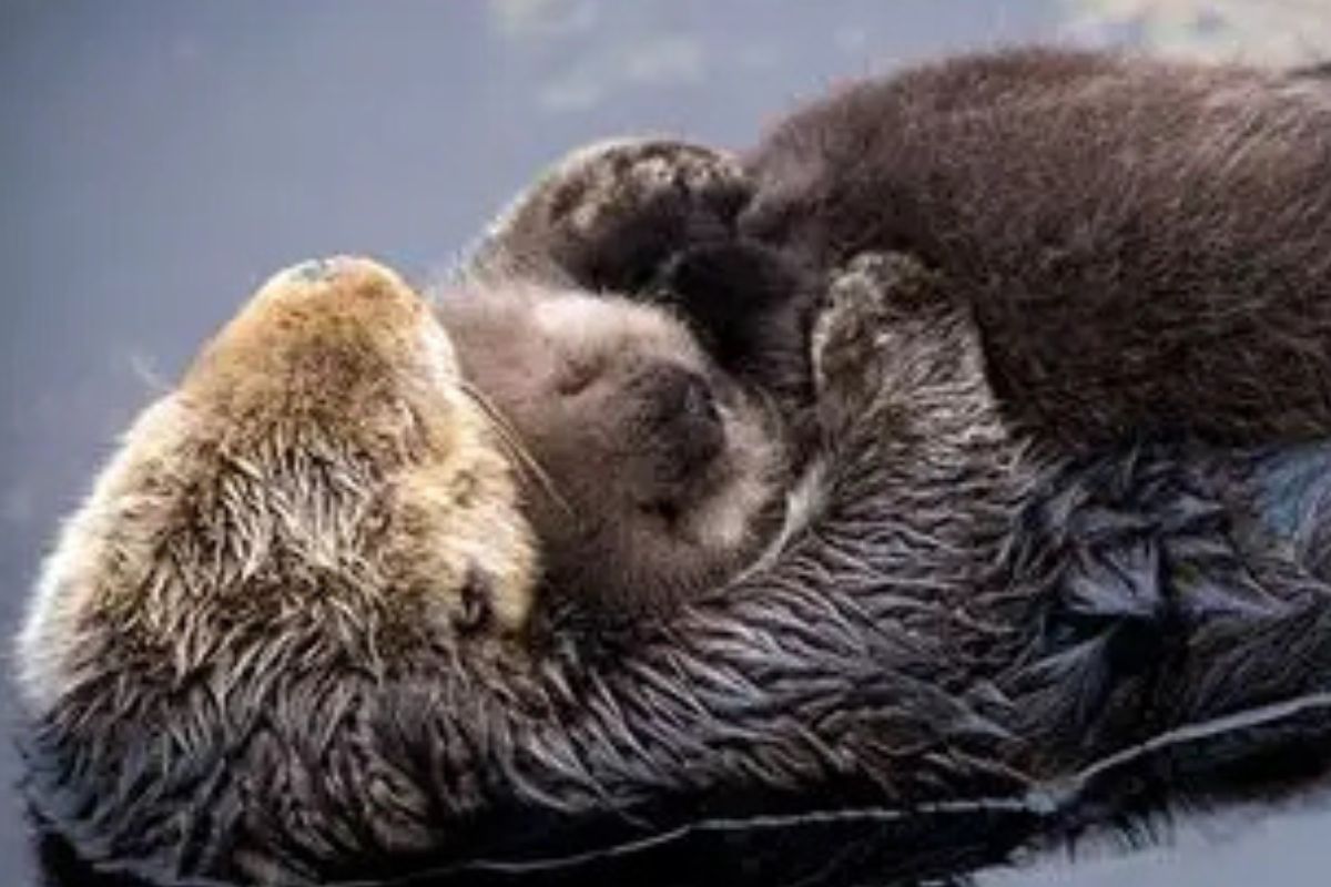 Imagen: culturainquieta.com