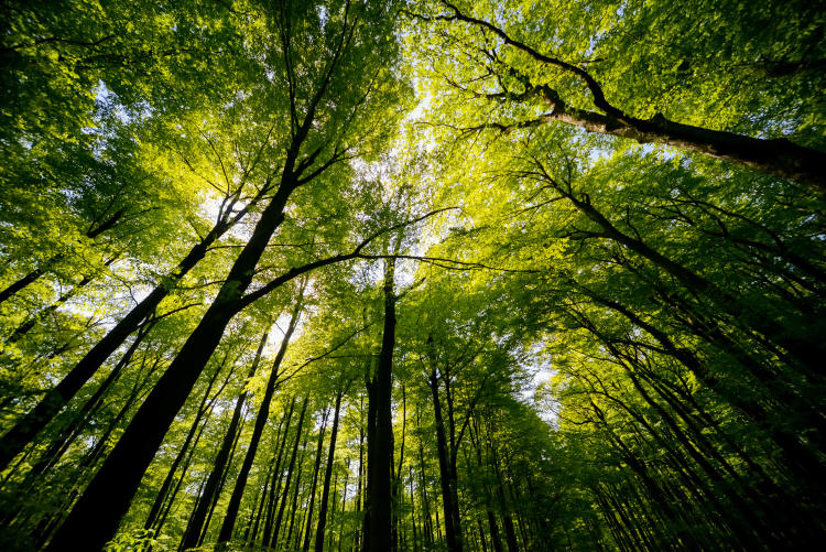 shutterstock_1852819489 shutterstock_1852819489
